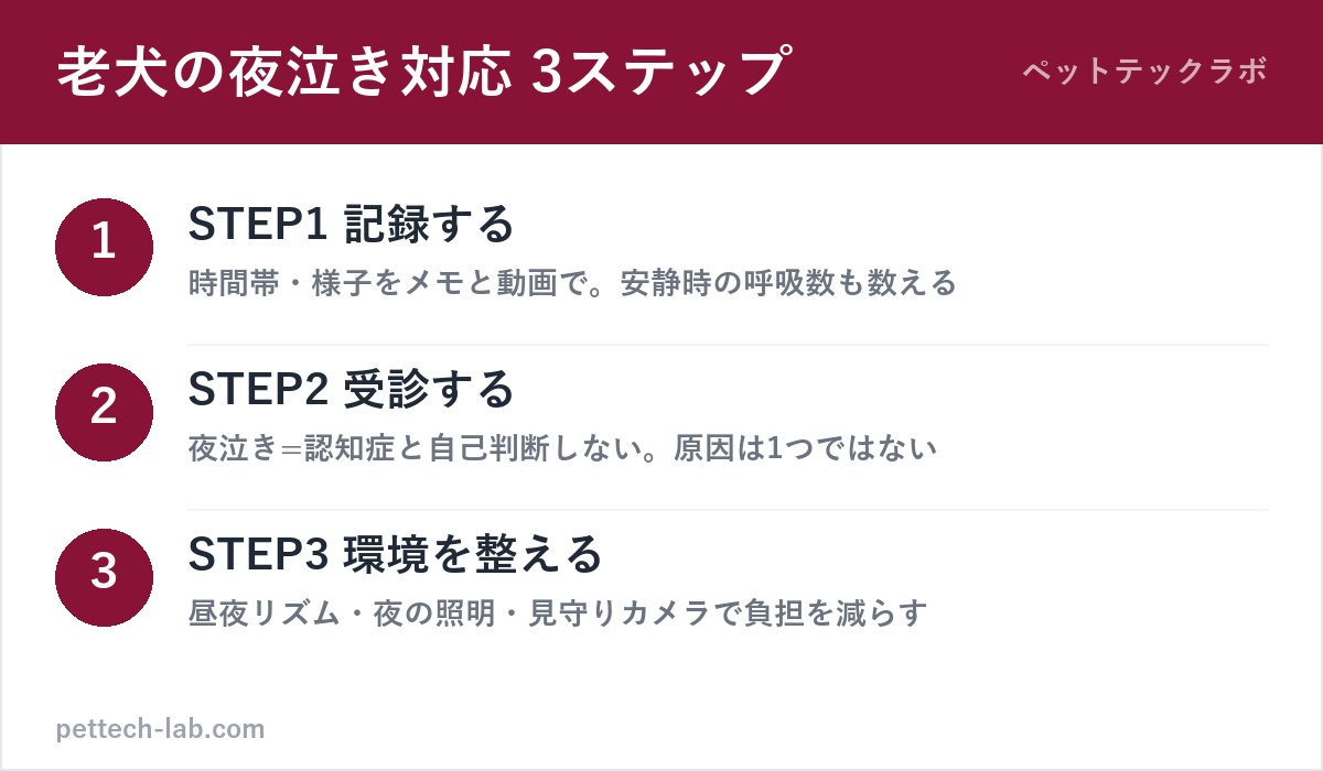 老犬の夜泣きに気づいたときの3ステップ（記録・受診・環境づくり）の図解